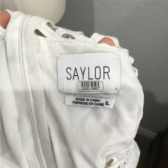 Saylor - Picture 4 of 4